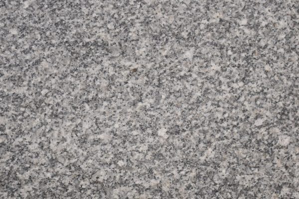 GRAY KARNAK HOND (3)