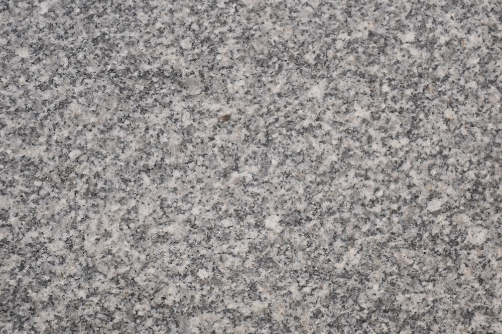 GRAY KARNAK HOND (3)